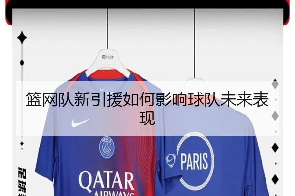 篮网队新引援如何影响球队未来表现（YaboSports）